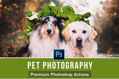 Pet Photography Photoshop Actions