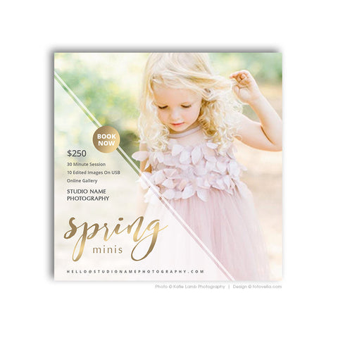Spring Mini Session Marketing Board - Instagram Digital Marketing - For Photographers - Photoshop Required - LIGHT & AIRY - 1651