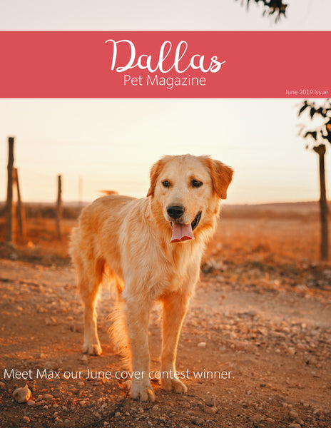 Marketing Magazine Kit Bundle | Templates