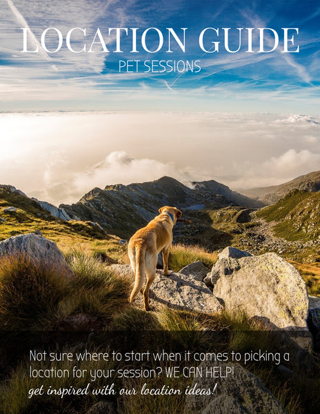 Location Planning Guide for Clients: HUGE BUNDLE