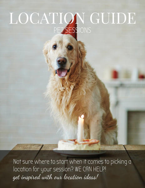 Pet Photography Location Planning Guide for Clients, Client Guide, Pet Welcome Guide