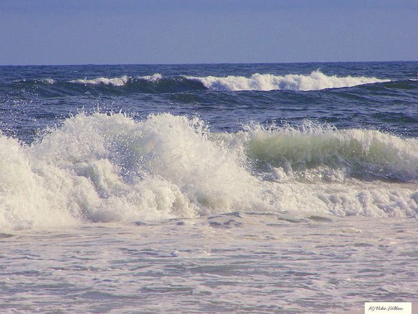 Actions for Beach Photos