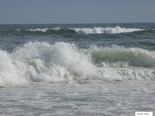 Actions for Beach Photos