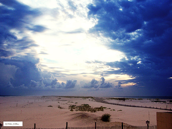 Actions for Beach Photos