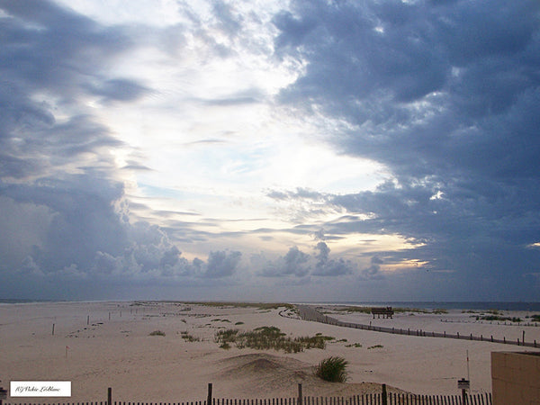 Actions for Beach Photos