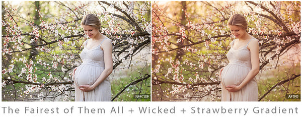 Whimsical Presets Made Easy!