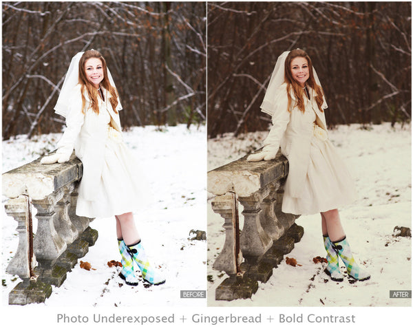 Winter Portrait Action Pack