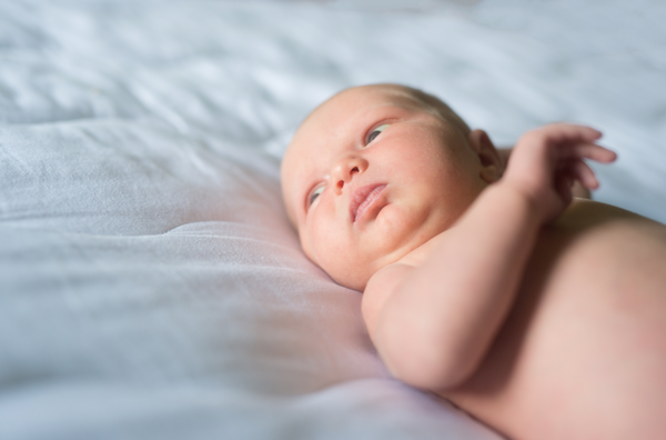 Actions for Fresh 48 and Lifestyle Sessions