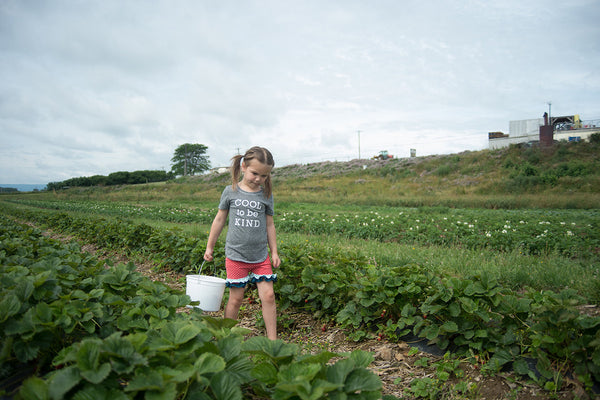 Presets To Get A Film Look