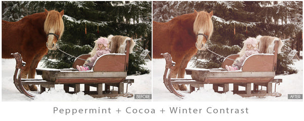 Winter Portrait Action Pack