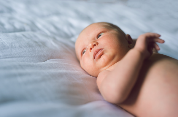 Actions for Fresh 48 and Lifestyle Sessions