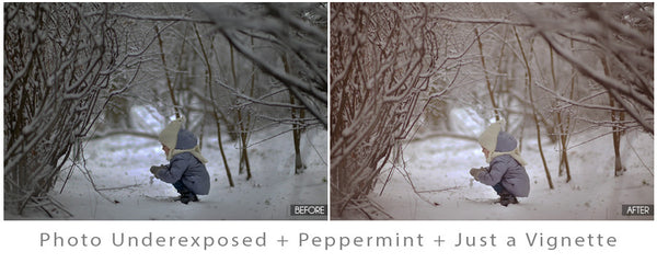 Winter Portrait Action Pack