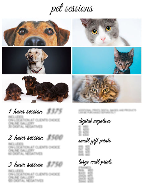 Photographer Pricing Template Pages