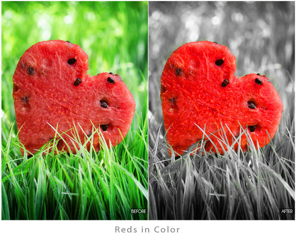 Color Pop Action Pack