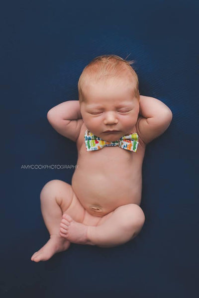 Amy Cook Newborn and Milestone Course MEGA BUNDLE!