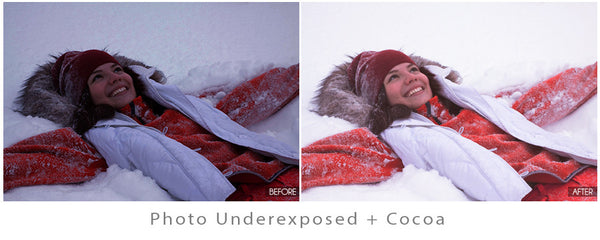 The Ultimate Season Preset Bundle