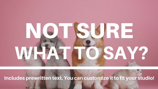 Pet Client Guide Template | Welcome Packet | PSD Templates