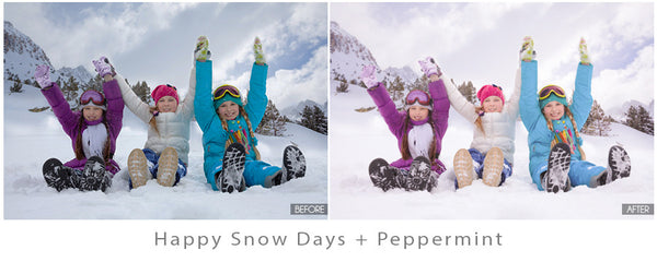 Winter Portrait Preset Pack