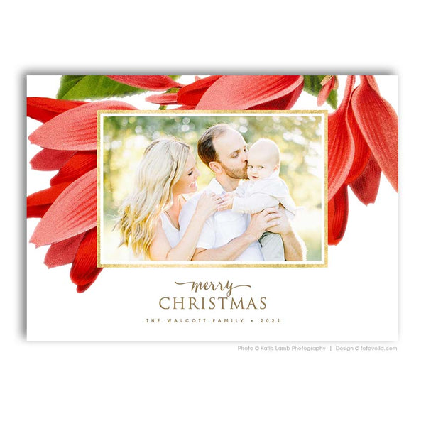 75 Christmas Card Template Bundle for Photographers, PSD, Holiday Cards