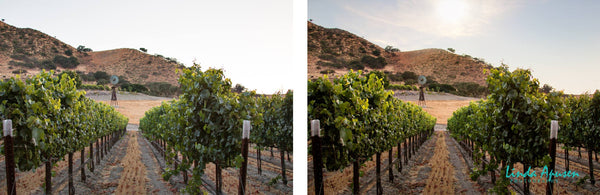 1400+ Photo Overlays, Night Sky Overlays, Digital Backgrounds, Brushes + More!