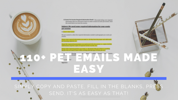 Pet Session Workflow Emails Made Easy