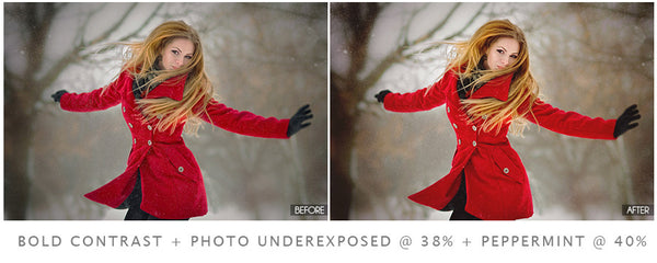 Winter Portrait Action Pack
