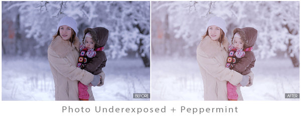 Winter Portrait Action Pack