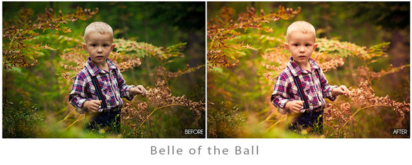 Whimsical Presets Made Easy!