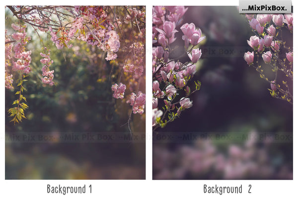Photo Overlay Bundle: Beach Backgrounds, Dirt Explosion, Stadium Light, Animal Overlays, Ribbon, Floral + more!