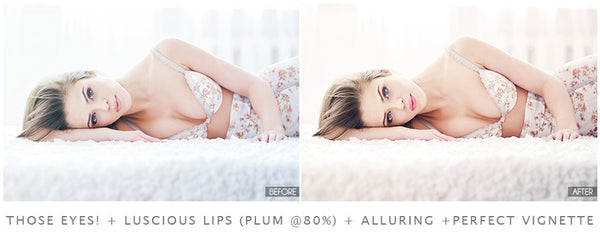 The Complete Boudoir Product Collection