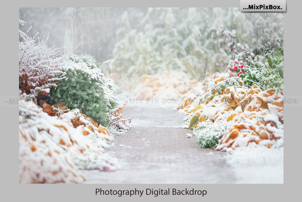 Holly Jolly Holiday Backdrops & Overlays