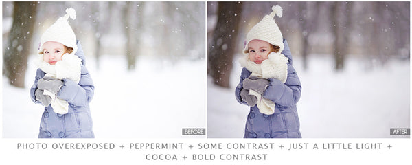 The Ultimate Season Preset Bundle