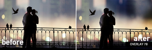 Overlay Variety Pack