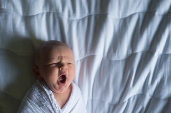 Actions for Fresh 48 and Lifestyle Sessions