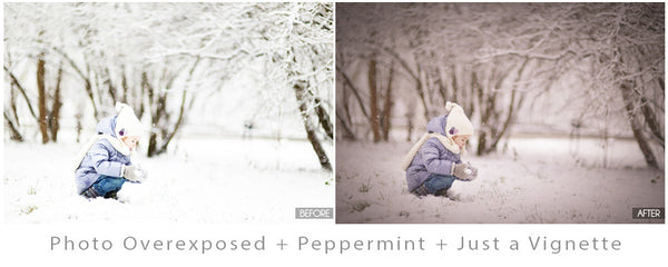 The Ultimate Season Preset Bundle