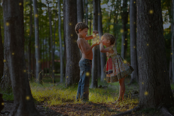 Firefly Video Course by Andrea Martin