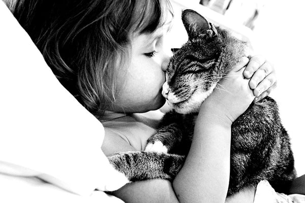 Perfect Pets Actions -Set 1-