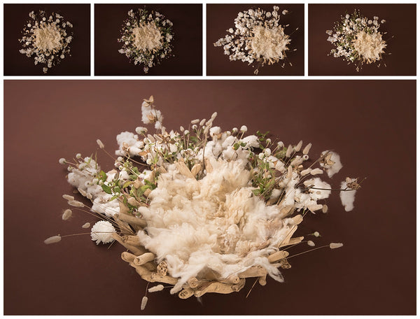 Dreamer Newborn Girl Backdrop Collection {Includes 35 Backdrops}