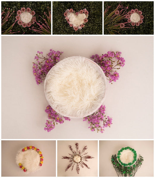 Complete Digital Newborn Backdrop Bundle + Tutorial Videos!