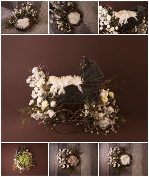 Complete Digital Newborn Backdrop Bundle + Tutorial Videos!