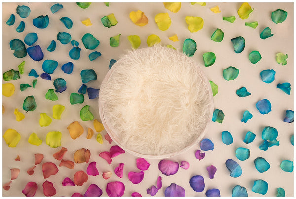 Itty Bitty Newborn Girl Backdrop Collection {Includes 35 Backdrops}