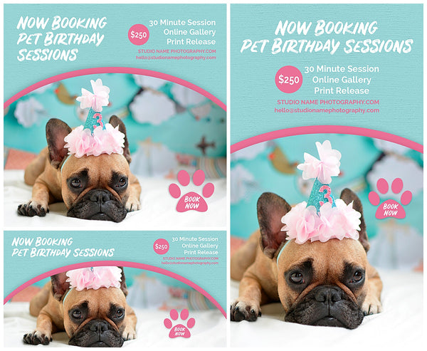 Pet Photography Marketing Template Bundle for Photographers, Photoshop Templates