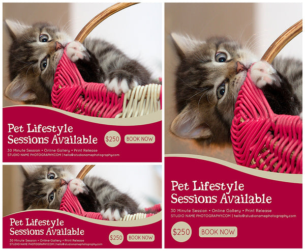 Pet Photography Marketing Template Bundle for Photographers, Photoshop Templates