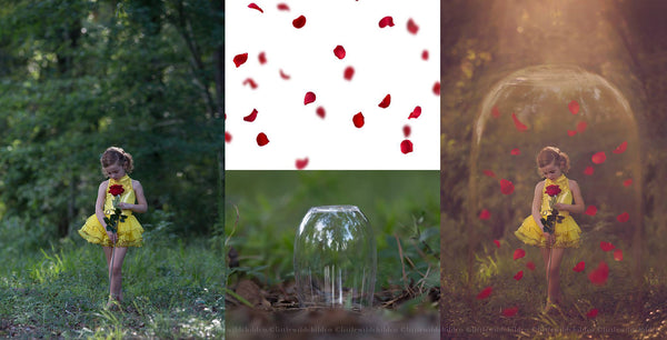 *10 Videos* Fantasy Edit Video Course by Stephanie Stafford