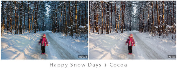 Winter Portrait Action Pack