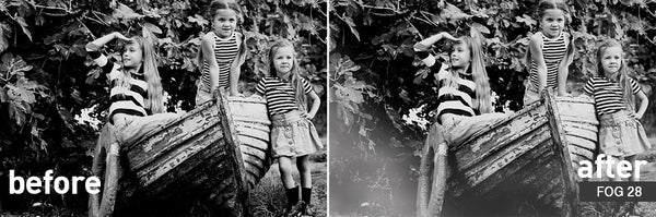 Overlay Variety Pack