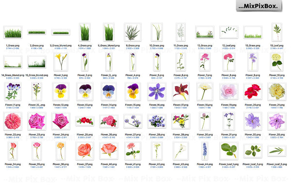 1700+ Photo Overlays, Long Exposure, Glitter, Number Balloons, Digital Papers + More!