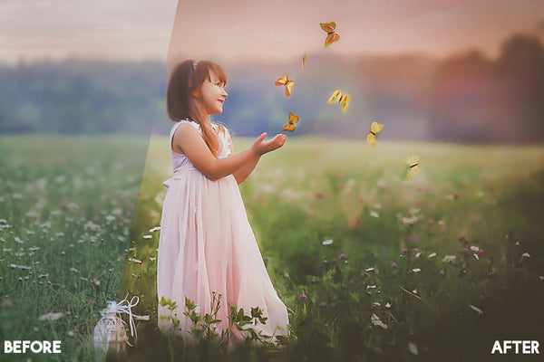 Painterly Look Lightroom Presets