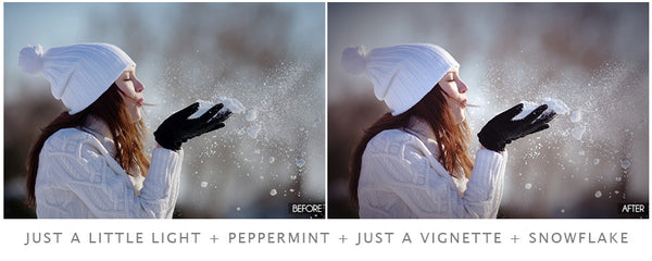 Winter Portrait Preset Pack