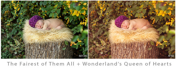 Whimsical Presets Made Easy!